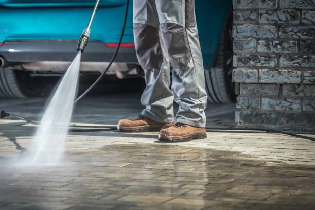 Best Gutter Cleaning  in Lighthouse Point, FL