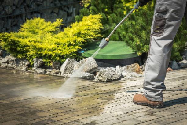 Best Building Exterior Washing  in Lighthouse Point, FL